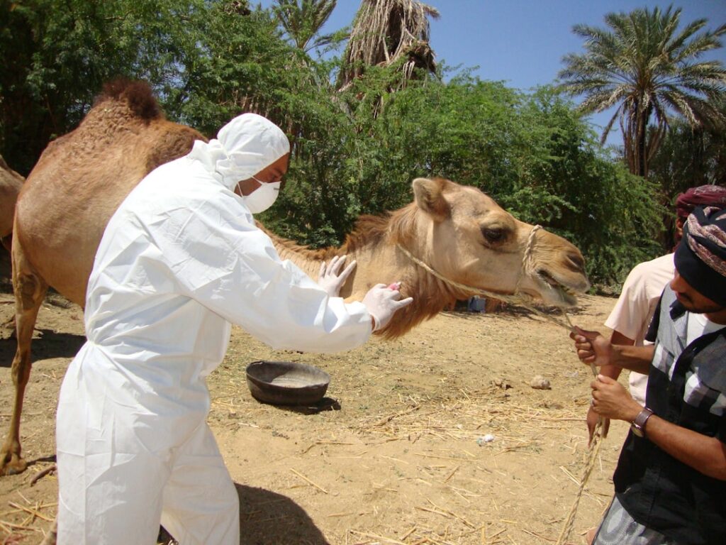 découvrez les services d'un vétérinaire qualifié pour le bien-être de vos animaux. des soins préventifs aux urgences, notre équipe passionnée s'engage à offrir des traitements adaptés et des conseils pour assurer la santé de vos compagnons à quatre pattes.